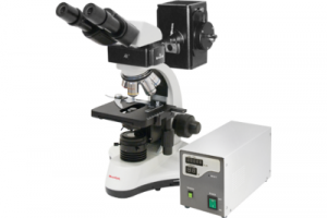 Флуоресцентный микроскоп MX 300 (F)